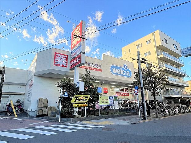 ウエルシア板橋赤塚店(約505m)
