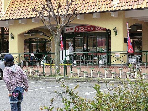 スーパーアルプス大和田店（約800m・徒歩10分）