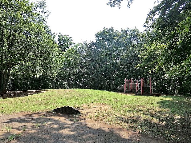 みなみ野の丘公園（約1,200m・徒歩15分）