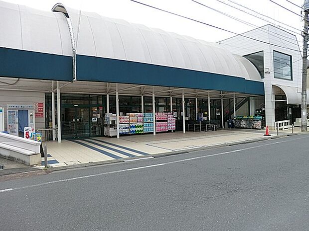 マルフジ東中神店(約800m・徒歩10分)