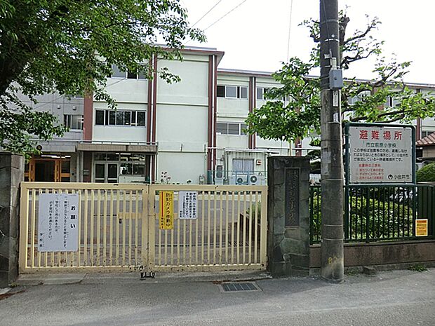 小金井市立前原小学校(約880m・徒歩11分)