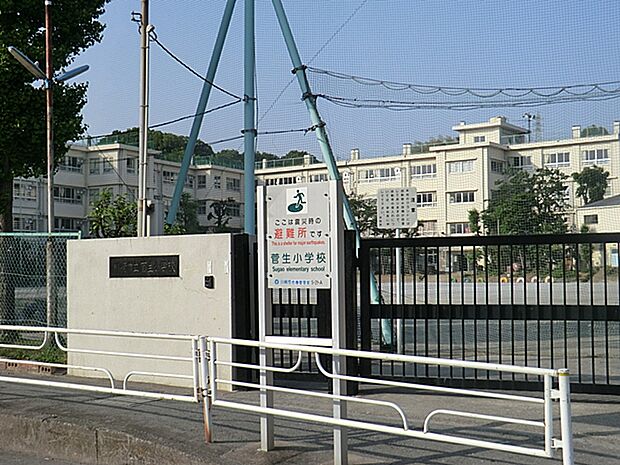 川崎市立菅生小学校(約800m・徒歩10分)