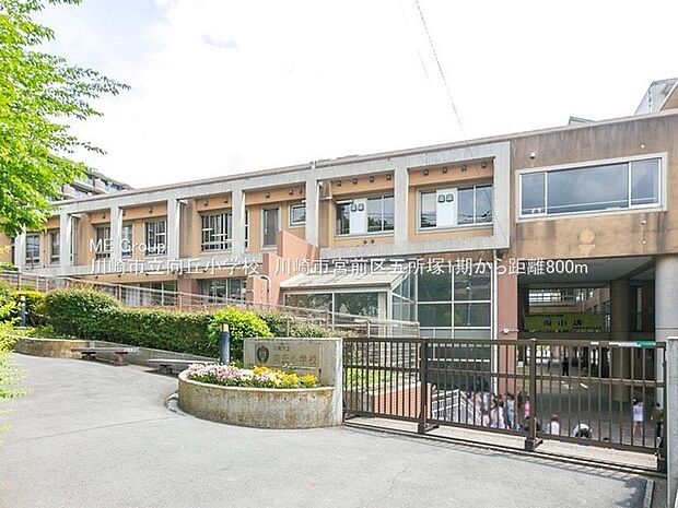 川崎市立向丘小学校（約800m・徒歩10分）