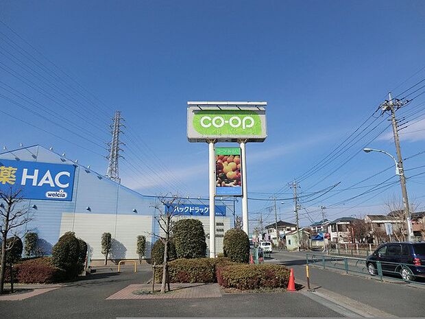 コープときわ店(約230m・徒歩3分)