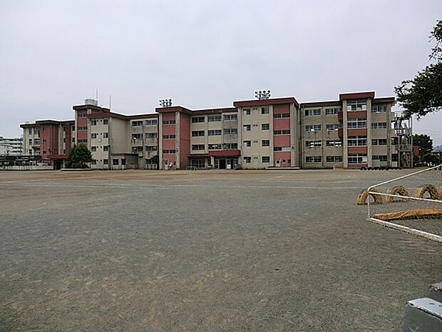 八王子市立清水小学校(約710m・徒歩9分)