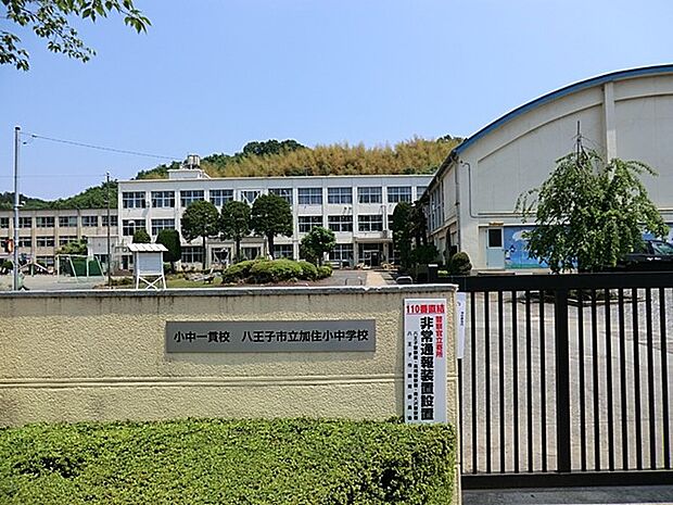 八王子市立加住中学校(約381m・徒歩5分)