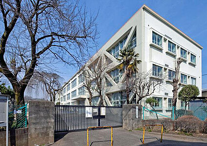 昭島市立玉川小学校 250m(4分)