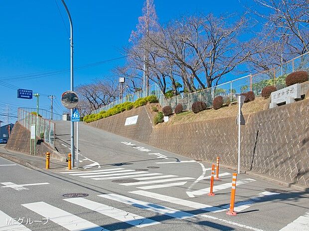 伊勢原市立成瀬中学校（約1,500m・徒歩19分）