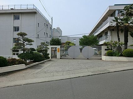 秦野市立大根小学校 750m(10分)