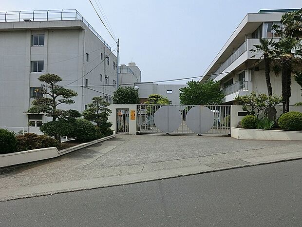 秦野市立大根小学校(約750m・徒歩10分)