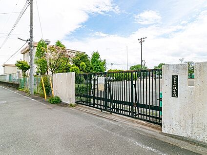 八王子市立松枝小学校 564m(8分)