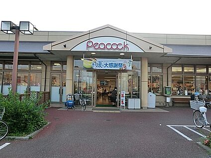 ピーコックストア　玉川上水店 485m(7分)