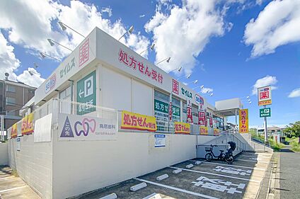 ドラッグセイムス青葉黒須田店 650m