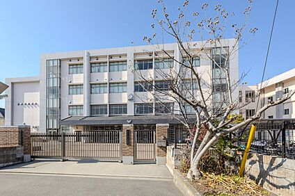 八尾市立大正中学校 990m