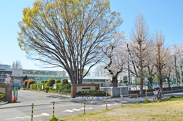 大門小学校（約1m）