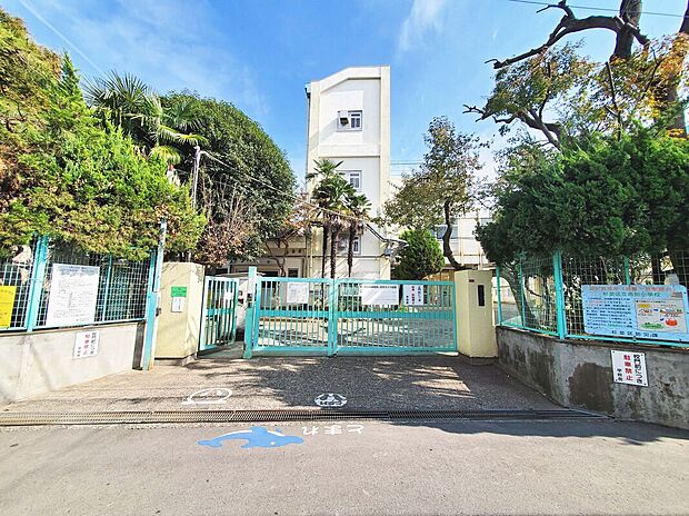 杉並区立西田小学校(約504m)