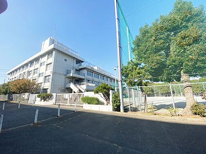 世田谷区立喜多見中学校 1089ｍ