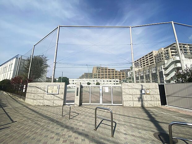 世田谷区立塚戸小学校（約856m）