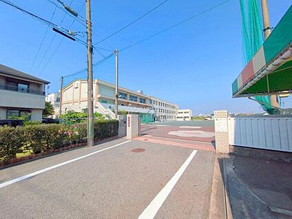 名古屋市立赤星小学校 800m(徒歩10分)