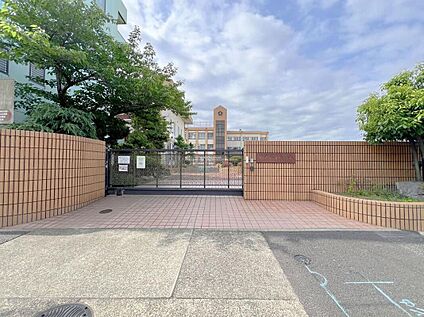 名古屋市立米野小学校 800m (徒歩10分)