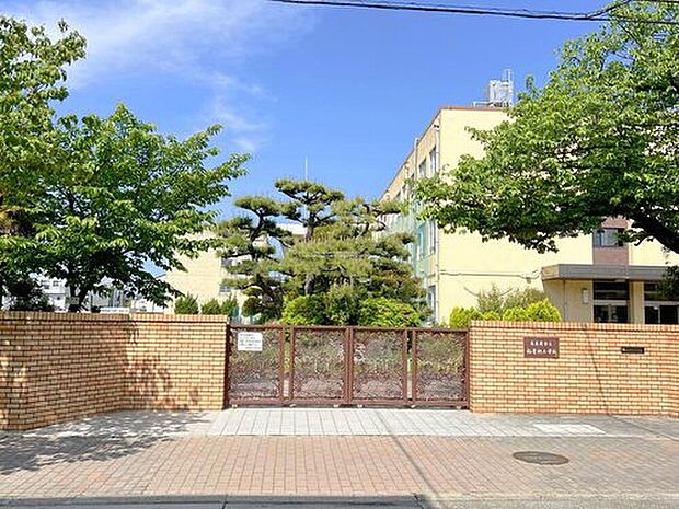 名古屋市立稲葉地小学校（約52m）