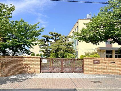 名古屋市立稲葉地小学校 800m(徒歩10分)