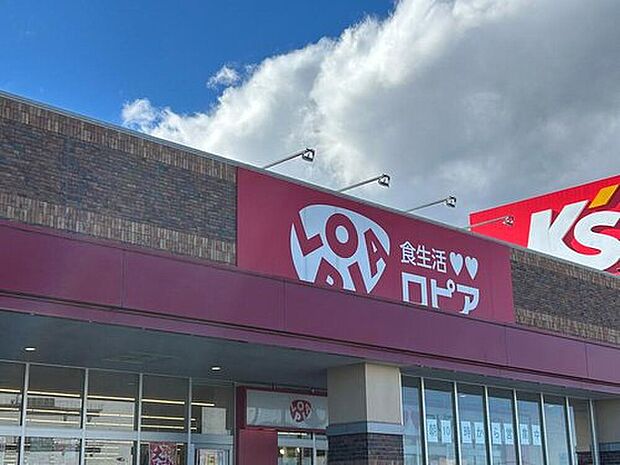 ロピア菖蒲フォレオ店（約600m）