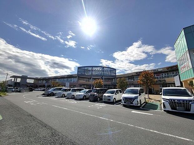 ウニクス鴻巣（約320m）