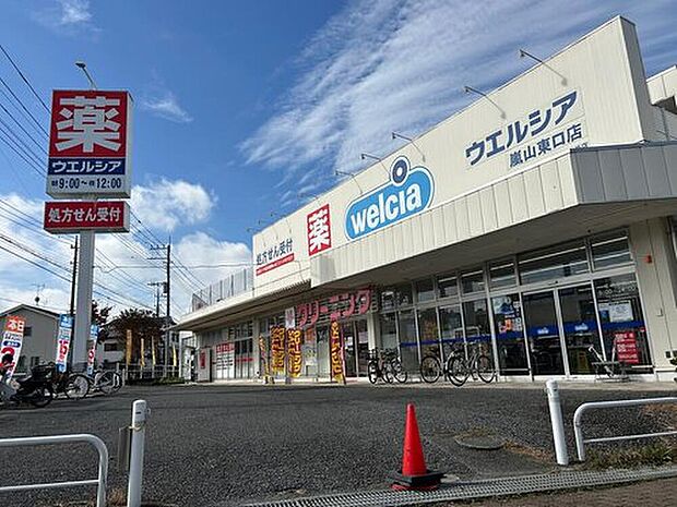 ウエルシア嵐山東口店(約1,000m)
