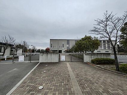 本庄市立児玉中学校 650m(徒歩9分)