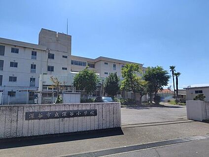深谷市立深谷小学校 1000ｍ(徒歩13分)