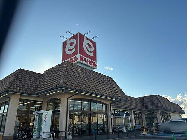 とりせん上里店（約1,600m）