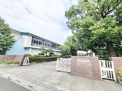 鴻巣市立鴻巣南中学校 1000m ( 徒歩13分)