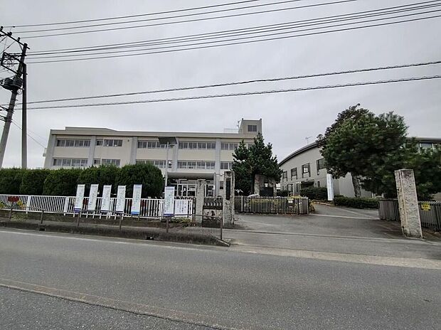 本庄市立児玉小学校（約850m）