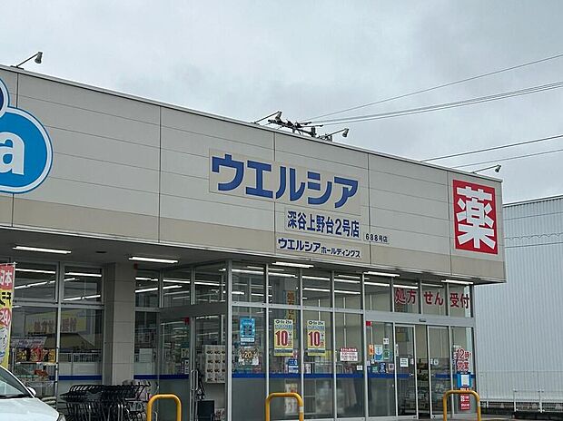 ウエルシア深谷上野台2号店(約410m)