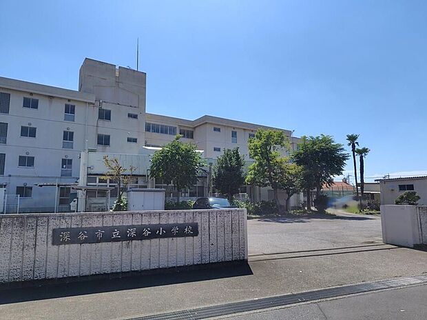 深谷市立深谷小学校(約550m)