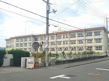 豊中市立第十一中学校 1600ｍ(約20分)