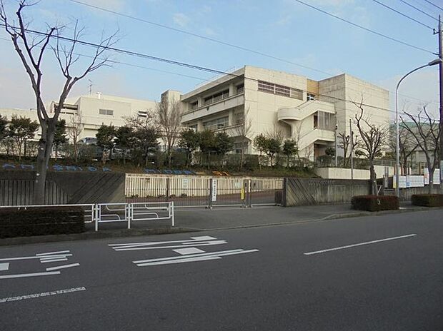 横浜市立鴨志田緑小学校（約200m）