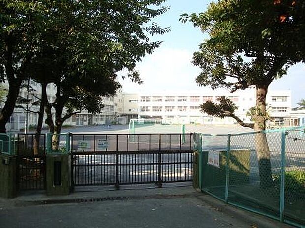 横浜市立鴨居小学校（約800m）