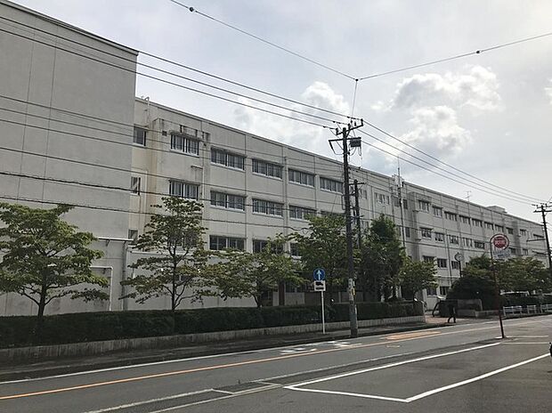 横浜市立新田中学校（約850m）