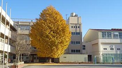 横浜市立城郷小学校 950ｍ