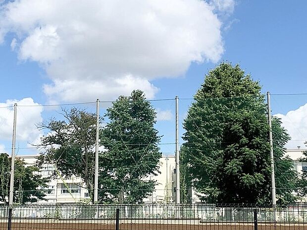 横浜市立高田小学校（約550m）
