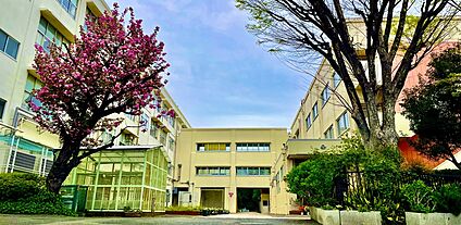横浜市立馬場小学校 850ｍ