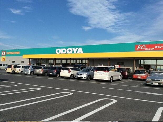 おどや羽鳥野店（約550m）