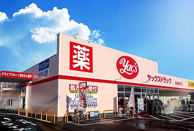 ヤックスドラック木更津清見台店(約600m)