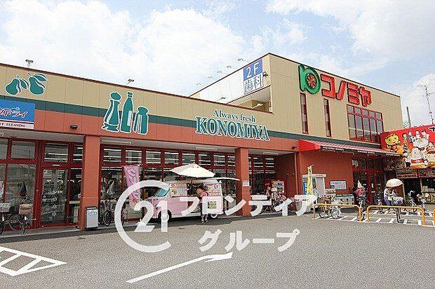 コノミヤ大蓮東店(約320m)