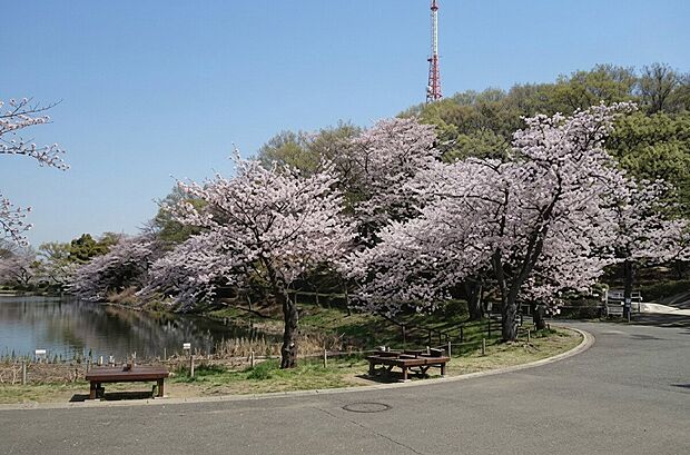 三ツ池公園（約750m）