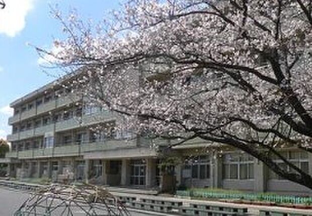 藤沢市立大清水小学校