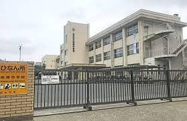 赤塚中学校(約350m)