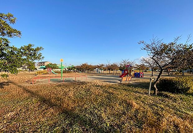 木太中央公園